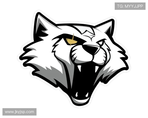 CSGO速度排行榜更新JDG战队荣登第七位引发热议 CSGO速度排行榜更新JDG战队荣登第七位引发热议