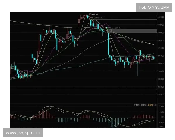 深圳攀岩队与杭州攀岩队赛后复盘分析比赛节奏与表现差异