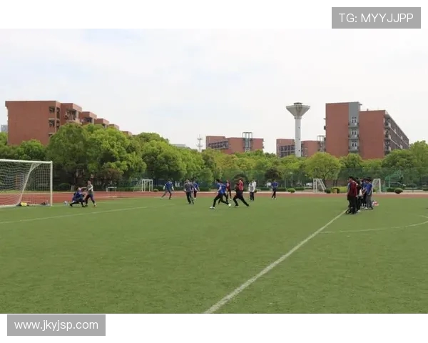 深圳飞盘队个人能力提升的热议与未来发展探讨